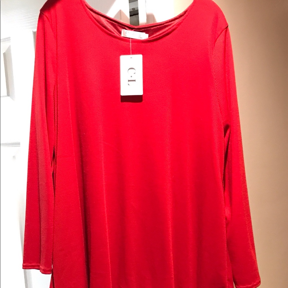 Red long sleeve top with inset